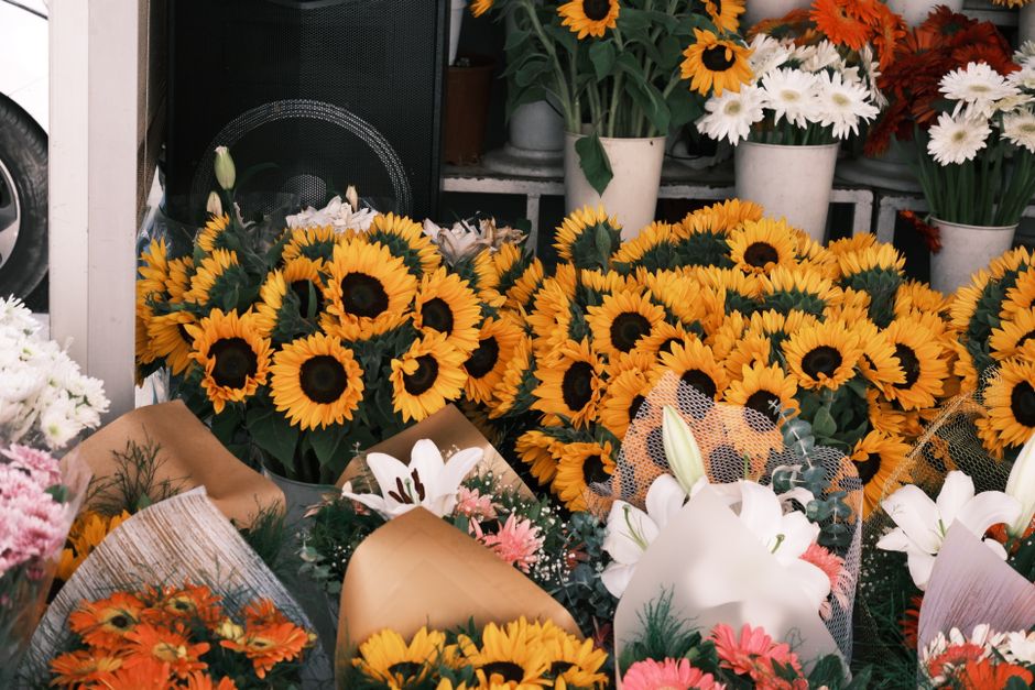 A vibrant display of floral arrangements featuring numerous fresh sunflowers with bright yellow petals and dark brown centers, arranged in bouquets wrapped in brown craft paper and placed on a surface