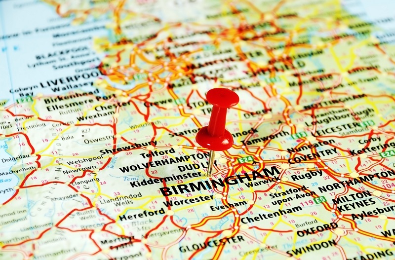 Roses flowers  / month flowers