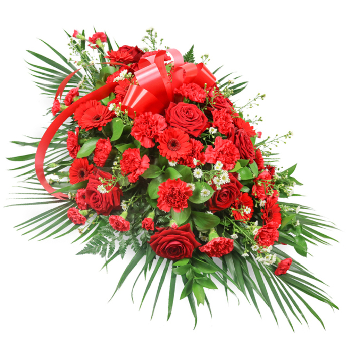 This photograph shows a luxurious red funeral spray laid against a stark white background, its elongated teardrop silhouette clearly designed for use as a casket spray or prominent tribute at a Forest Hill memorial. In the middle of the arrangement, velvety red roses are massed together in generous clusters, some blooms still cupped, others fully open, their layered petals forming deep spirals of colour that suggest tenderness and devotion. Interspersed among them are abundant deep red carnations, whose finely ruffled petals overlap in soft folds, building a dense, comforting cushion of texture. Here and there, striking red gerbera daisies appear, their wide, flat, daisy-like heads and darker centres adding a contemporary twist and creating focal points that draw the eye along the length of the spray. Threaded through the sea of red, small white filler flowers-likely baby's breath or compact chrysanthemum florets-are tucked gently between the larger blooms, providing tiny bursts of brightness that echo the clean background and add visual breathing space. The flowers sit on a lush bed of greenery: long, arching palm fronds extend outward from the base and sides, shaping the piece into a graceful, wing-like form reminiscent of the greenery that frames the views from Forest Hill across to the city. Beneath and between the blooms, darker, glossier leaves such as salal or ruscus create a firm yet natural-looking foundation, while fine, feathery sprigs of fern slip through, giving subtle textural contrast. At the top centre, a broad red satin ribbon is tied into an elegant bow, its multiple loops plump and carefully formed, with long tails cascading through the flowers like a ribbon of remembrance. The finished spray exudes solemn beauty and deep affection, ideal for funerals, wakes, or chapel services throughout Forest Hill.