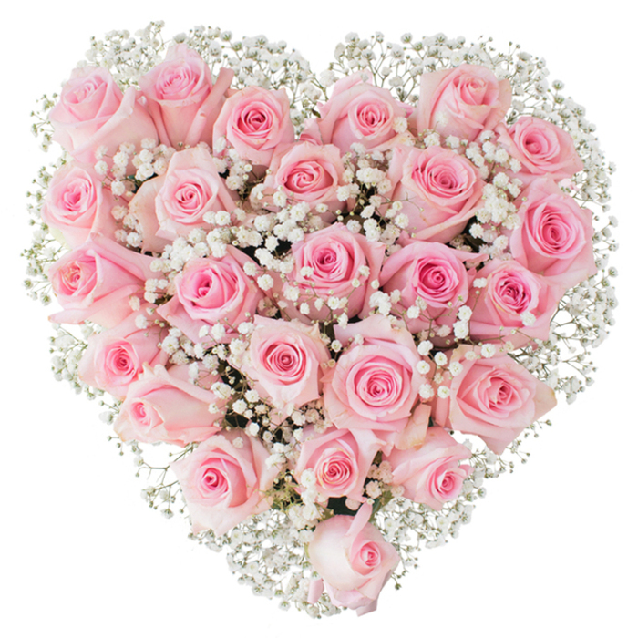 Here is a meticulously arranged heart of flowers: a compact, symmetrical shape formed by an abundant number of soft pink roses and interlaced with delicate sprays of white gypsophila. The roses show a subtle palette shift - petals fading from a barely-there blush on outer edges to a richer pink near each bud's core - and their varied stages of openness create a tactile field of rounded, velvety forms that invite the fingertips. Nestled between the roses, the baby's breath sits like fine lacework, its tiny white blossoms adding a feathered contrast that both brightens the composition and reinforces the silhouette of the heart against the clear white backdrop. The lighting in the image is bright and even, bringing out the pure, fresh tones of the petals and the airy translucence of the gypsophila, while the dense packing speaks to careful floral construction and secure wiring or foam support beneath. The scent this piece would give off is a soft, classic rose perfume - not overpowering but unmistakably romantic. I see this bouquet suited to intimate celebrations around Forest Hill: a tender gift delivered to an address near Honor Oak Park, a ceremony accent beside the Horniman Gardens café, or a calm, graceful tribute for remembrance. It communicates enduring love, gentle affection, and respectful beauty, reflecting the quiet, considered craftsmanship a local florist brings to meaningful moments in the community.