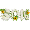 A serene, three-dimensional funeral tribute spelling the word SON in bold capital letters, painstakingly formed from a dense carpet of small, pristine white chrysanthemums that read as soft clouds of ivory. The tactile surface of each letter is plush and slightly scented, the chrysanthemums' tight petals catching the light to create a quiet, matte luminosity against a clean white studio background. Winding through and around the white blooms are trailing, dark-green ivy vines with their glossy, five-lobed leaves, woven by hand to trace the letters' contours and give the piece depth and a natural, evergreen frame. Lush fern fronds and slimmer pointed foliage nestle into the curves and angles, their feathered textures providing cool contrast to the chrysanthemums' round heads. Three bright sunflowers - broad, golden-yellow petals radiating from warm, dark-brown centres - punctuate the composition: one tucked into the upper-left curve of the S, another cradled at the lower curve of the O amid fern fronds, and a third set at the upper-right corner of the N. These sunflowers lend warmth and a sense of uplift, suggesting light and cherished memories even within mourning. The overall palette of white, deep green and sunflower gold reads as respectful and hopeful, a handcrafted memorial suitable for a son. The arrangement was made with quiet attention to balance and proportion, photographed in soft studio lighting to reveal texture and shadow. As a Forest Hill floral presentation, it evokes the calm dignity appropriate for services or home remembrances, and the image conveys both the care of a local florist's craft and the enduring sentiment behind a personalised tribute.